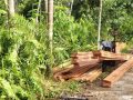 Maraknya Ilegal Logging Di Kab. Kepulauan Meranti, Polda Riau Diminta Tindak Tegas Para Pelaku