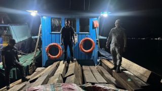 Bakamla Amankan Ratusan Balok Kayu Hasil Ilegal Loging Di Batam Kepri