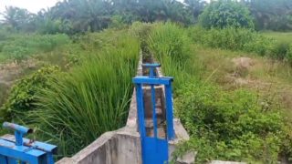 Pemabangunan Irigasi Tahun 2024 Hingga Kini Tidak Dapat Dimanpaatkan Petani